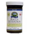 Focus Attention