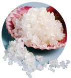 sea-minerals.jpg