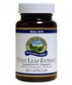 Olive Leaf Extract